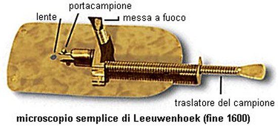 leeuwenhoek.jpg (33863 byte)